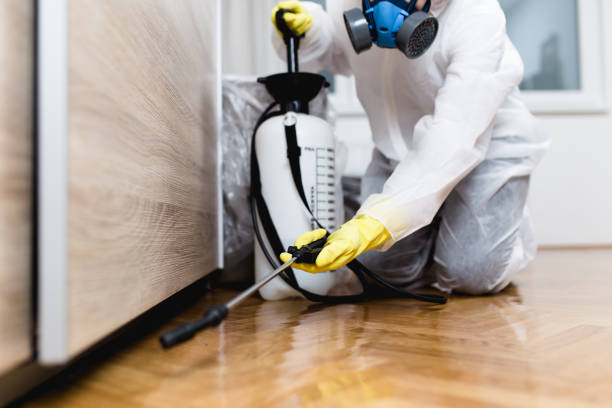 Professional Pest Control in Bellmawr, NJ