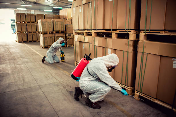 Best Local Pest Control Services  in Bellmawr, NJ