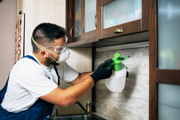 Best Best Pest Control Companies  in Bellmawr, NJ