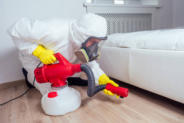 Best Emergency Pest Control  in Bellmawr, NJ