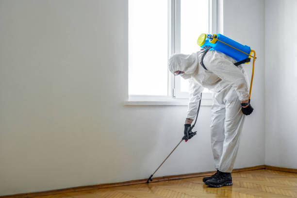Flea Control Services in Bellmawr, NJ