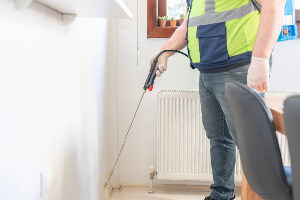 Best Pest Removal Services  in Bellmawr, NJ