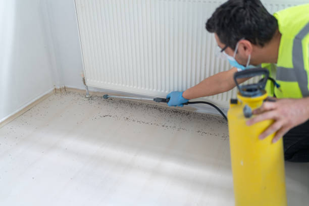Best Residential Pest Control  in Bellmawr, NJ